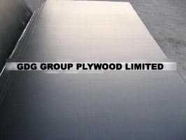 Film Faced Shuttering Plywood